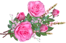 flowers-5011546_1280 (223x145, 58Kb)