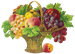 Цветы в PNG