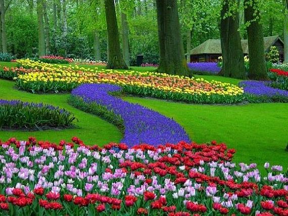 парк цветов кейкенхоф