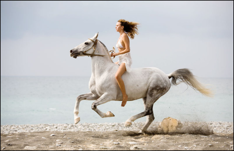 Проскачу на коне. Девушка скачет на лошади. Девушка на белом коне. Девушка с лошадью. Фотосессия с лошадьми.